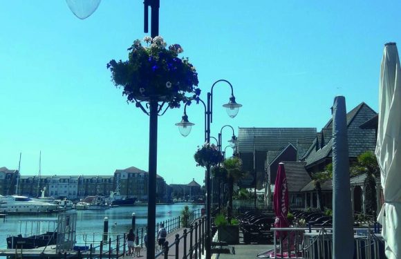 The Reawakening Of The Waterfront – In Full Bloom