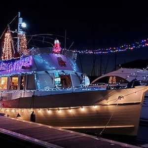 Sovereign Shines Light Display Competition